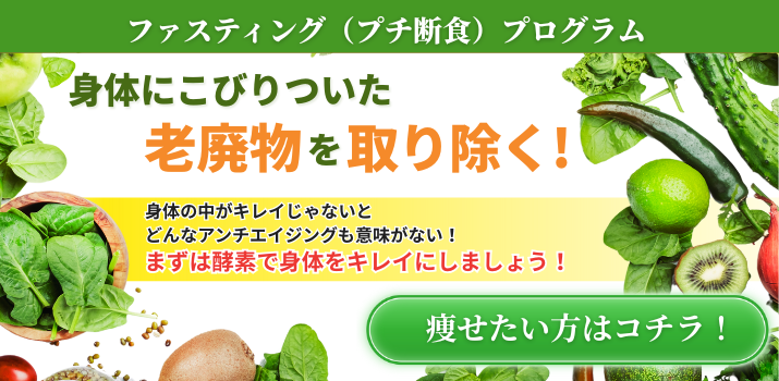 ファスティングプログラム